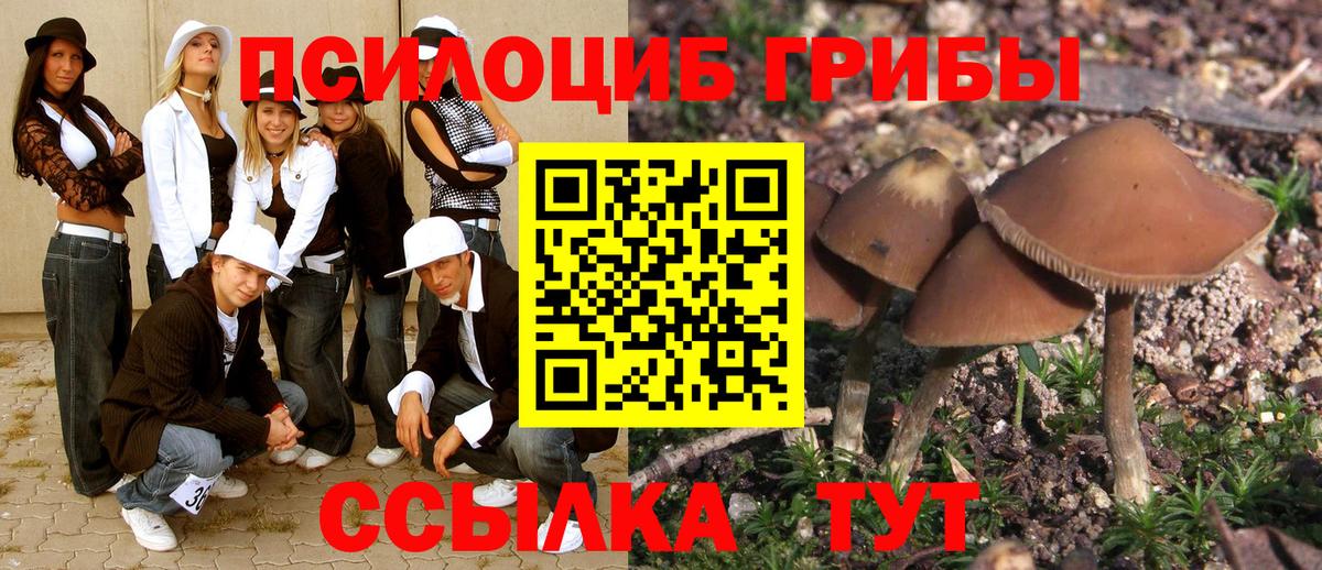 Псилоцибиновые грибы прущие грибы Гурьевск