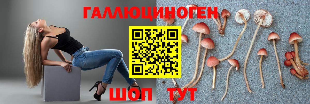 Псилоцибиновые грибы Cubensis  Вход с VPN  Гурьевск  Галлюциногенные грибы ЛСД 
